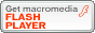 get_flash